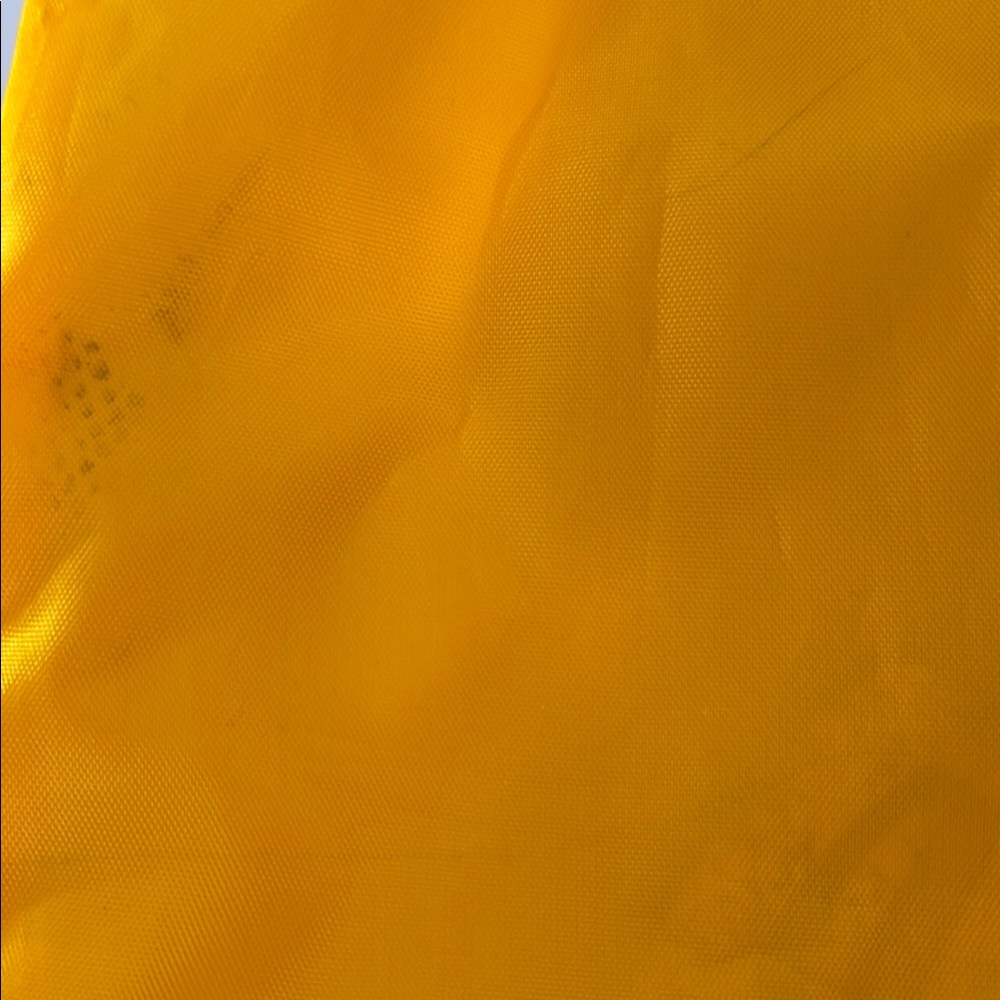 Cheerleader Drawstring Backpack, excellent condition! - Picture 3 of 3